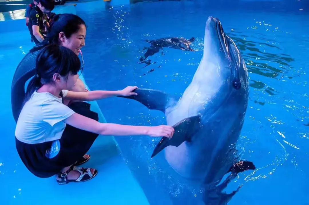 1595214522680001896.jpg 微信图片_20200720110244.jpg