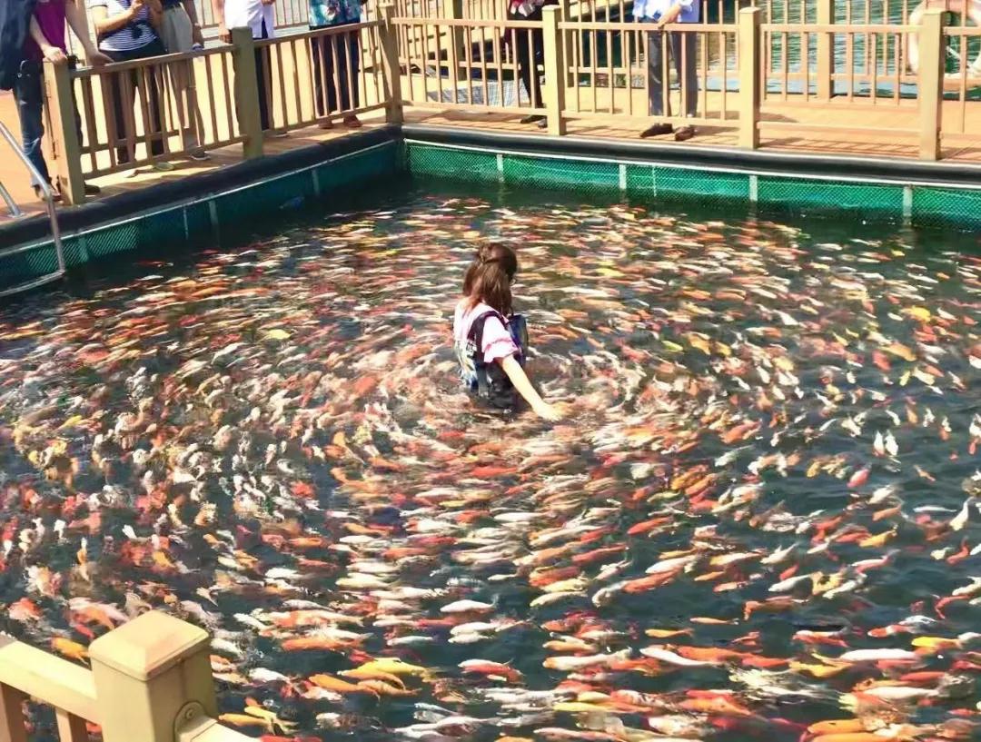 1595556351591097772.jpg 2.jpg