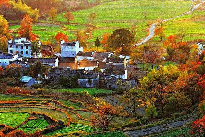 1613782823302075959.jpg 微信图片_20210220090006.jpg