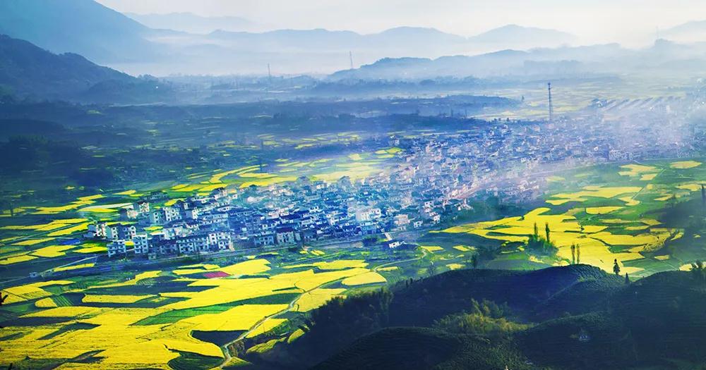 1614560951161035707.jpg 微信图片_20210301090858.jpg