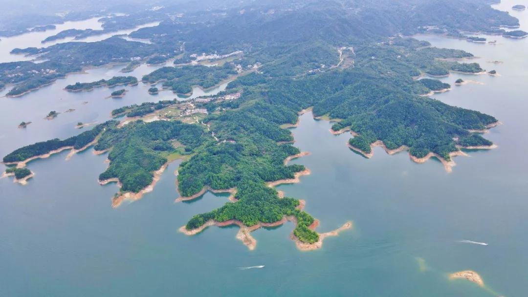 1626051656084069149.jpg 微信图片_20210712085904.jpg