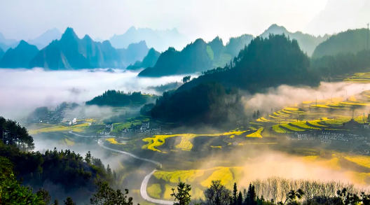 1629854609371013603.png image.png