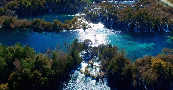 1636508308280083476.png image.png