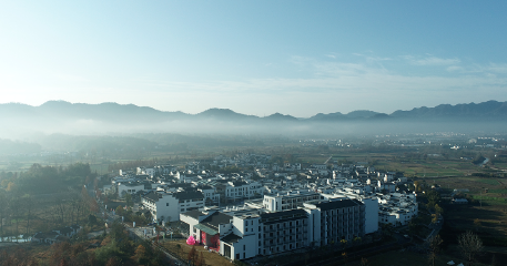 1646184132776050191.png image.png