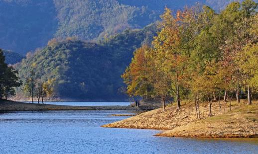 1663817106946053677.jpg 1111.jpg