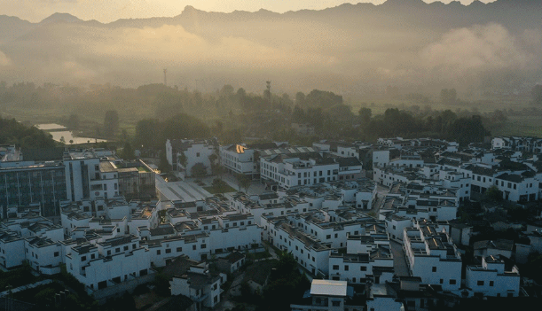 1666581004851088011.png 1111.png