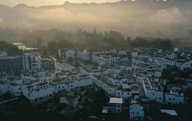 1669015508848067295.png 3333.png